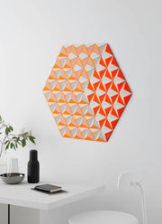 CIS-2 TOPOGRAPHIE orange hexagon