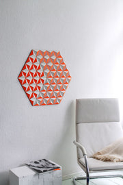 CIS-2 TOPOGRAPHIE orange hexagon